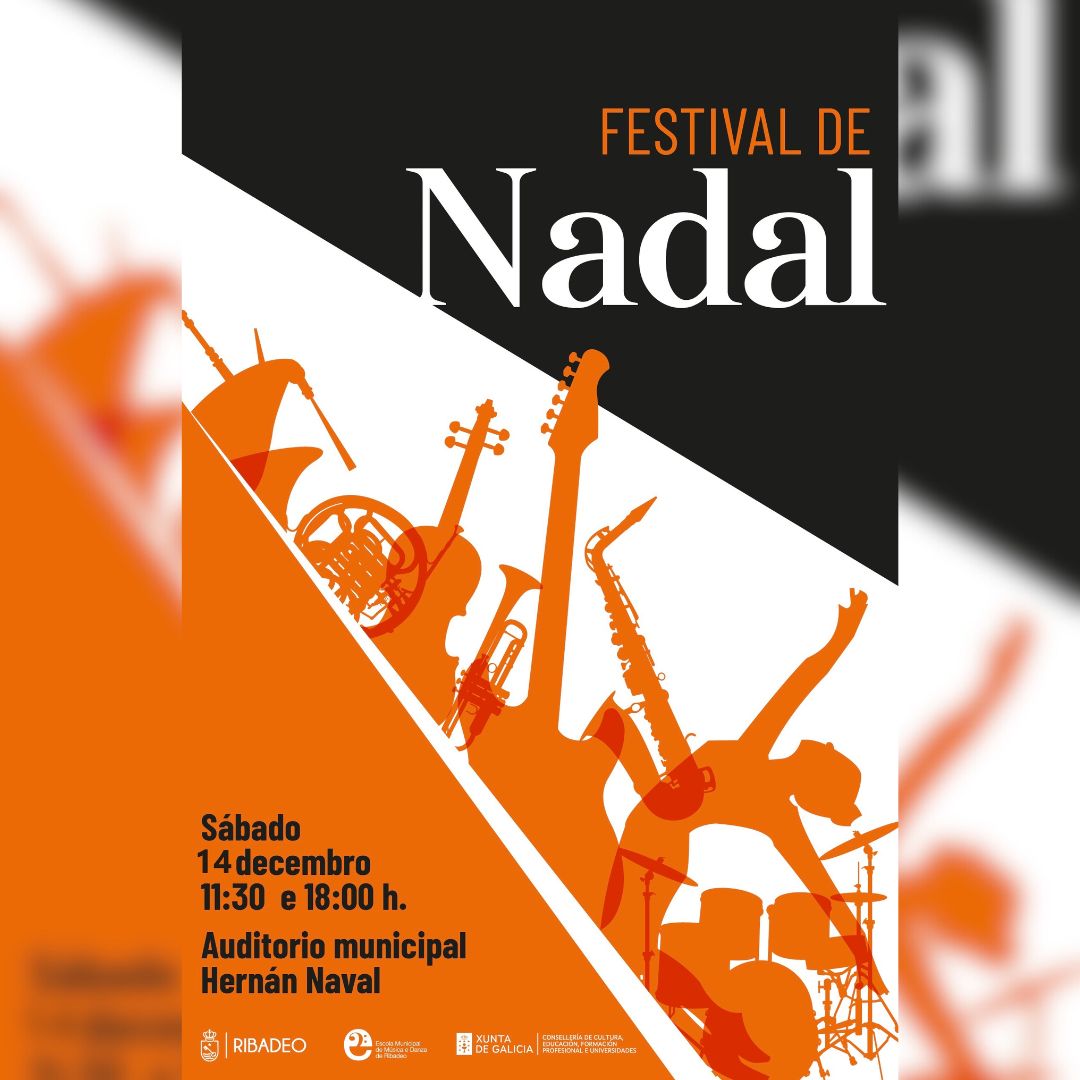 Cartel Festival de Nadal EMMeD 2024