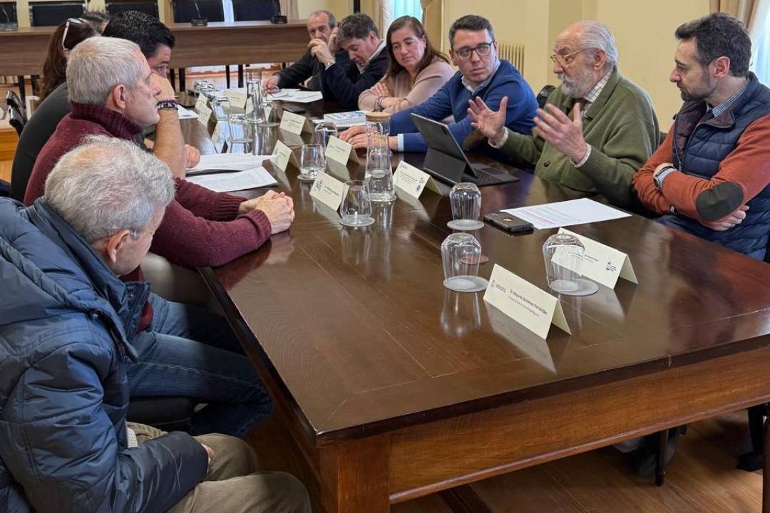 ribadeo escudo e bandeira listos